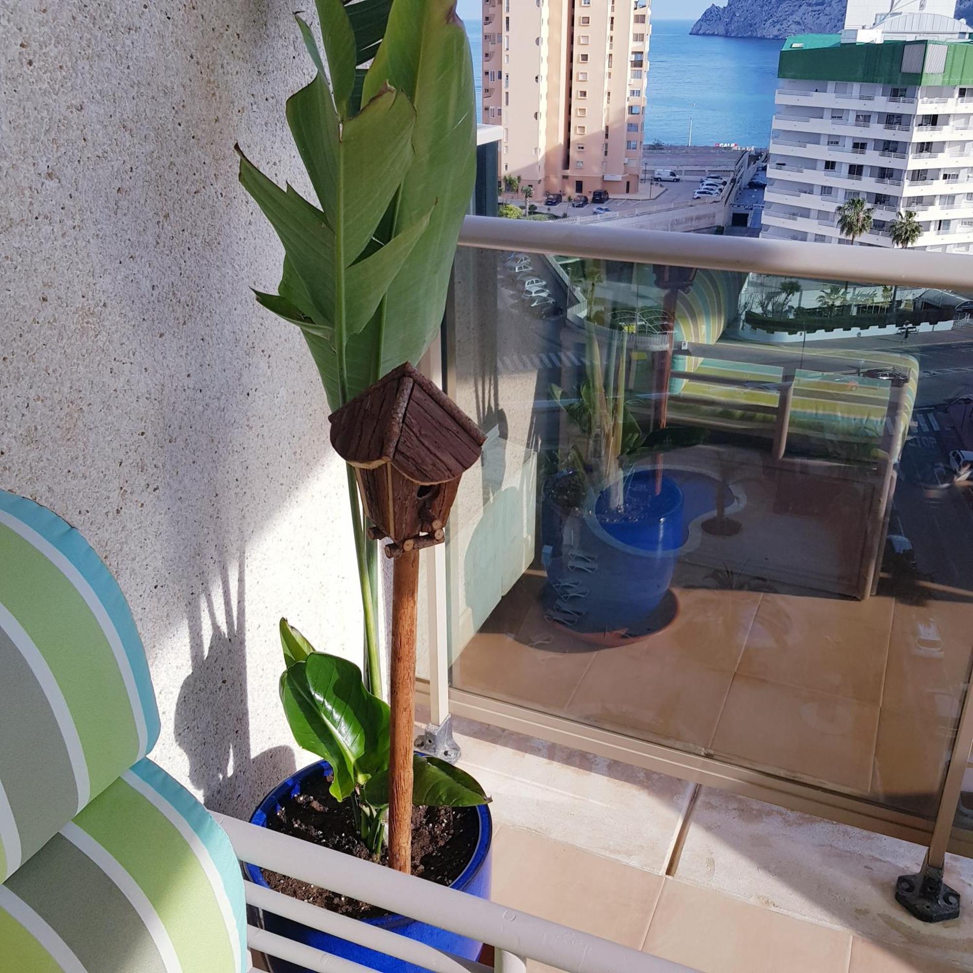 Esmeralda Suites Κάλπε Εξωτερικό φωτογραφία